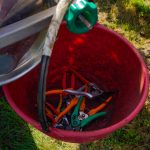 Cesoie_da_vendemmia_ColdirettiRE